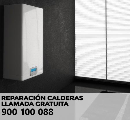 Reparación averías caldera Liebherr