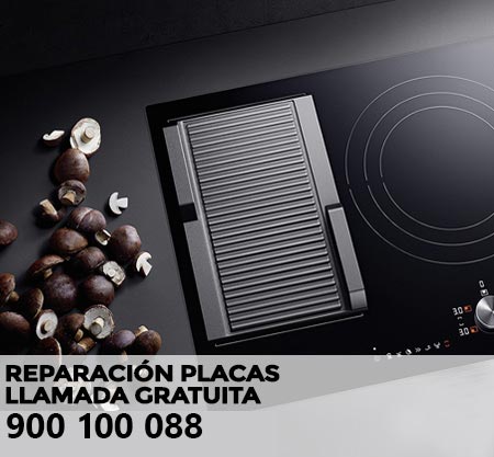 Reparación averías placa de cocción Liebherr